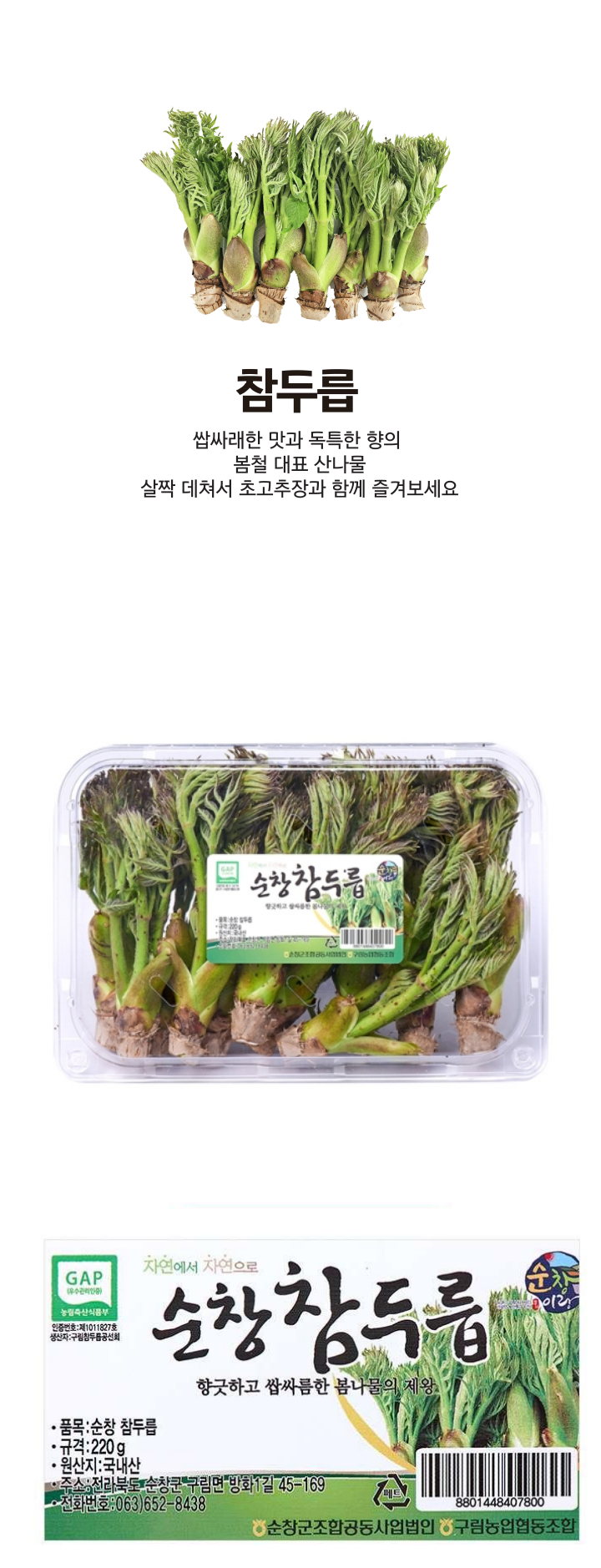 GAP순창참두릅(220g/팩)GAP순창참두릅(220g/팩)