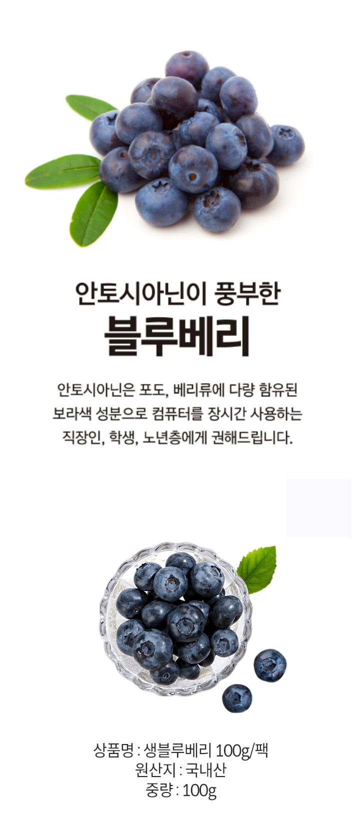 생블루베리(100g/팩)