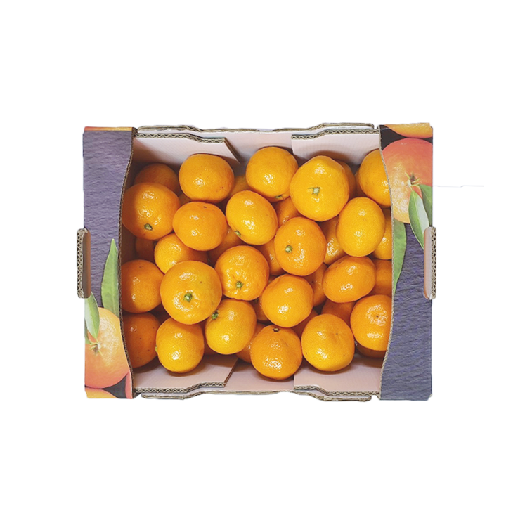 서귀포 타이벡감귤(3kg/박스)