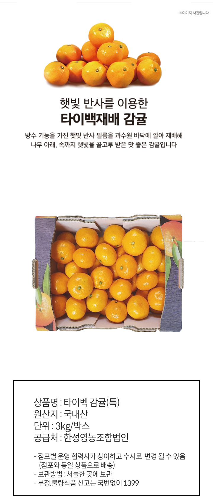 타이벡감귤 원산지 : 국내산 중량 3kg 유통과정 중 변질 및 파손된 제품은 구입처에서 교환해 드립니다. 표준구격품 원산지 국산 작업자 한성영농조합법인 등급 특 검사원 박종원 품종 타이벡감귤 검사원번호 2-006-073 중량 3kg 전화번호 064)762-4750 제주특별자치도 서귀포시 516로 107번길 33
