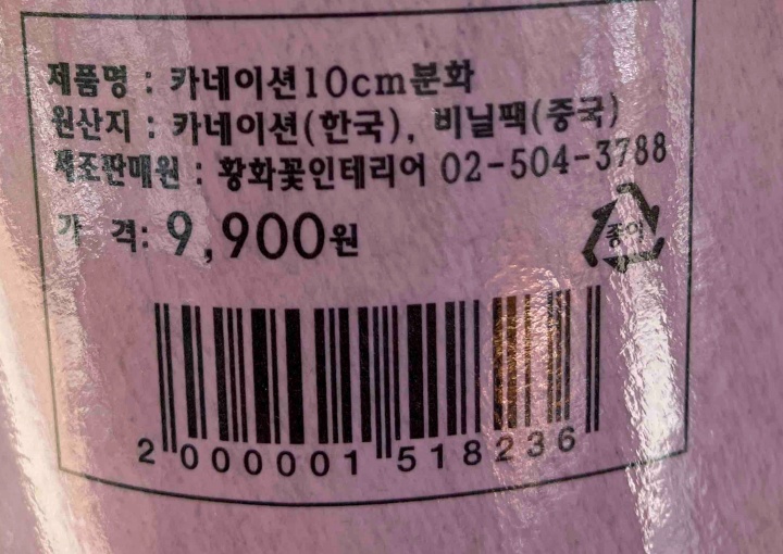 카네이션10cm분화(5월)