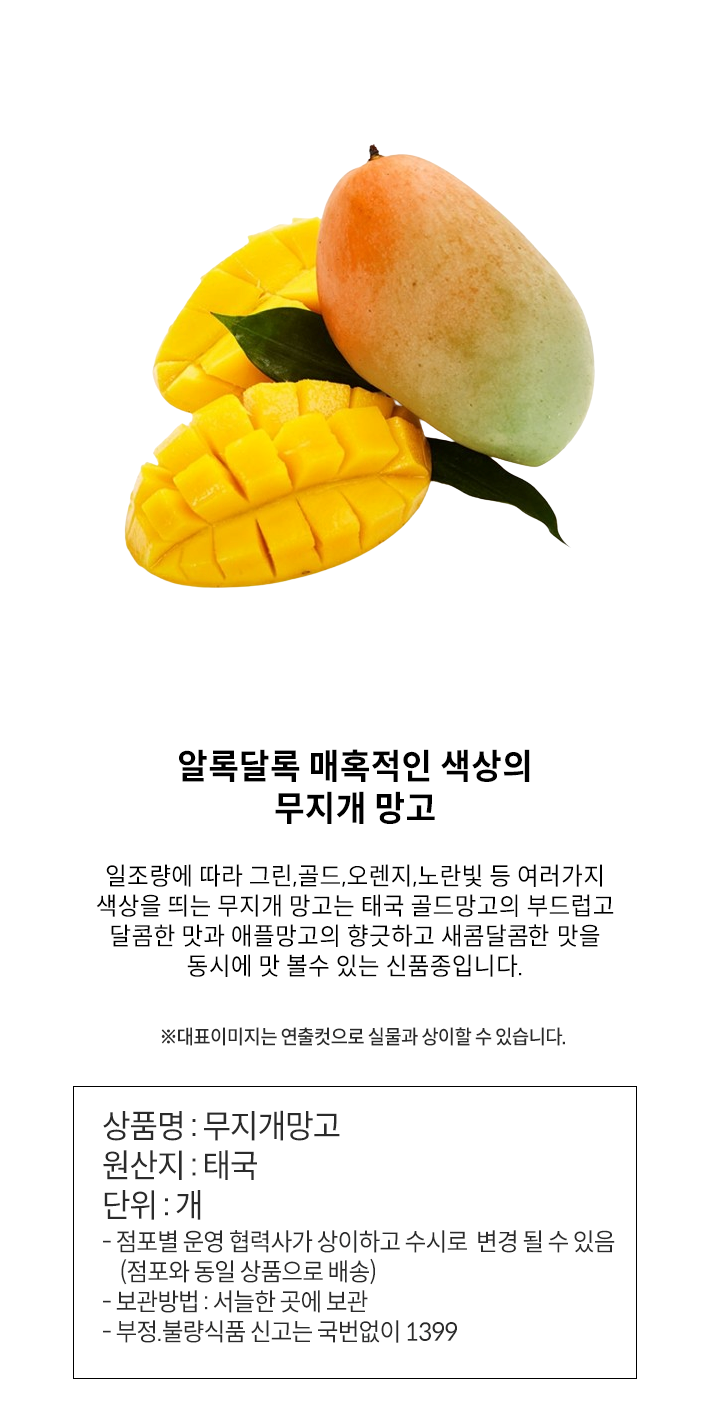 무지개 망고(10과)3개무지개 망고(10과)3개