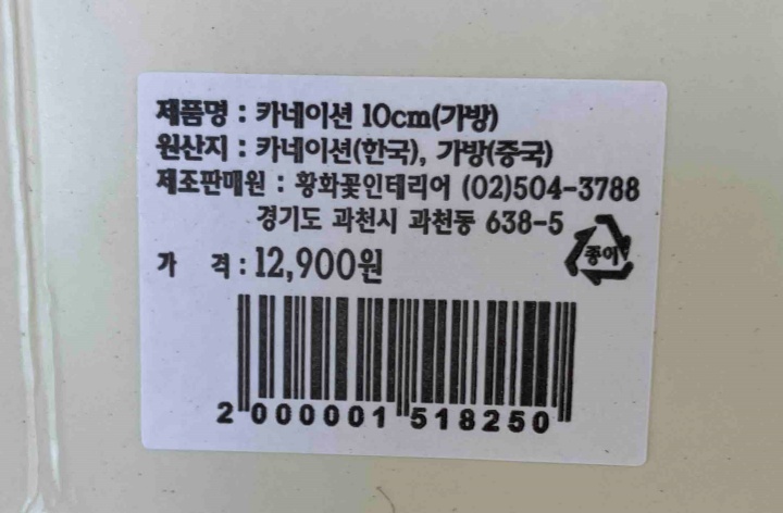 카네이션12cm분화(5월)