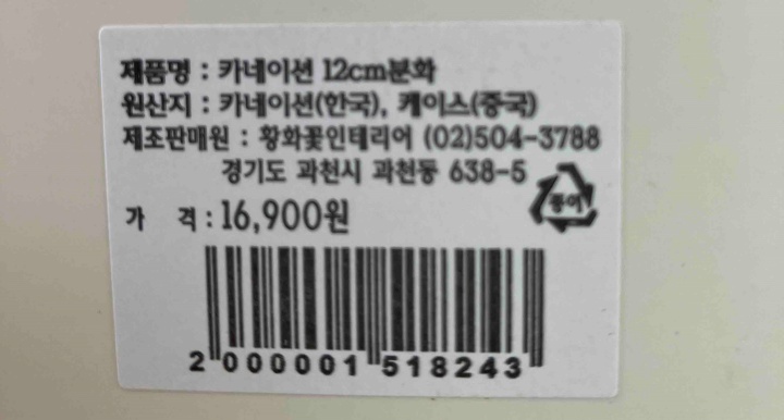 카네이션 10cm (가방)(5월)