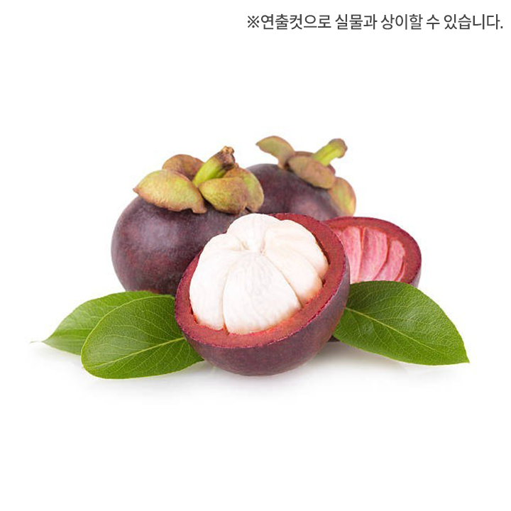 [사전]망고스틴500g*2