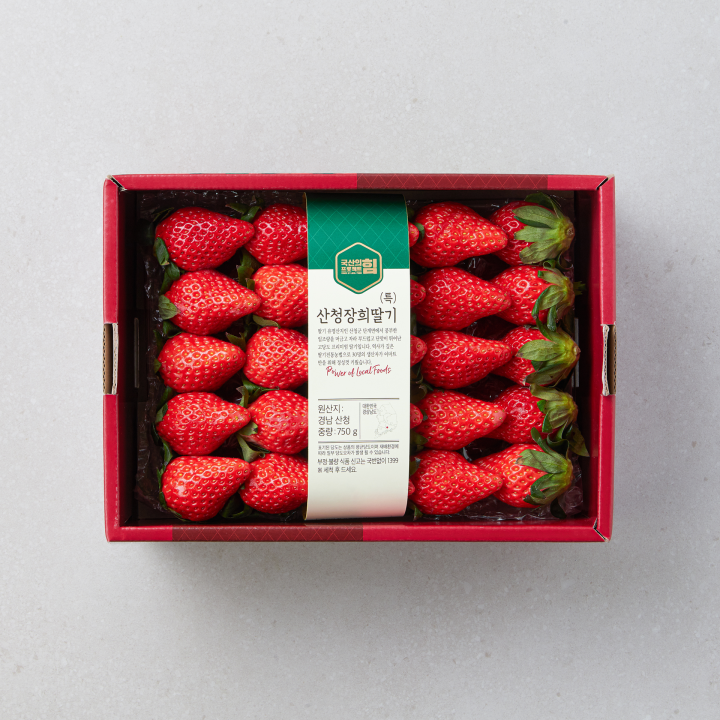 국산의 힘]산청장희딸기 특대 750g/박스