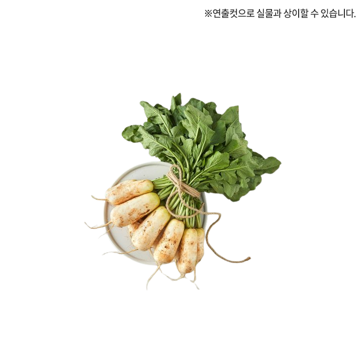알타리(국산/단)