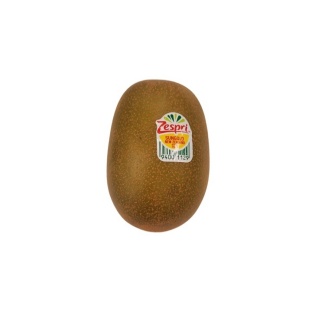 설명