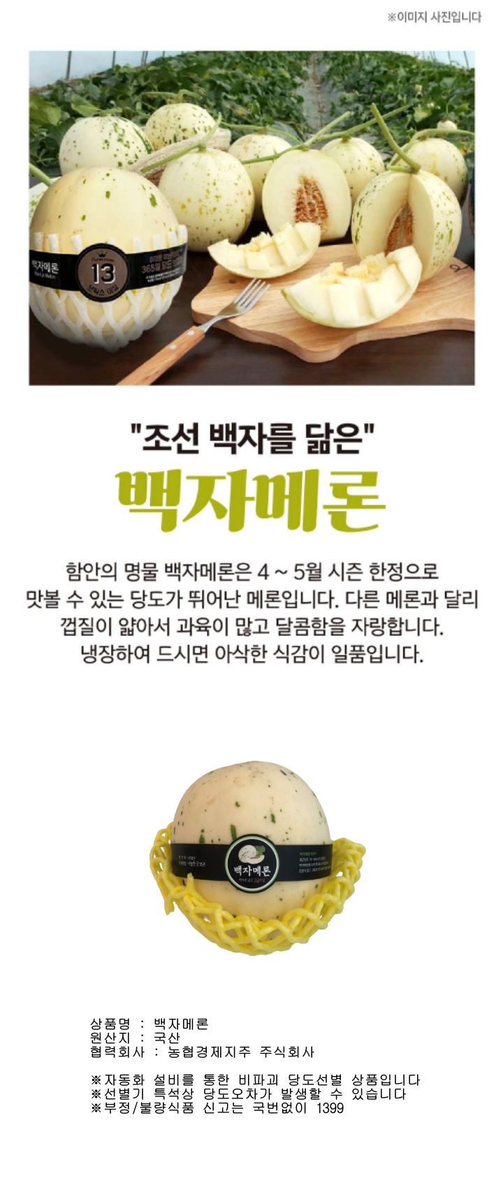 백자메론(통)백자메론(통)
