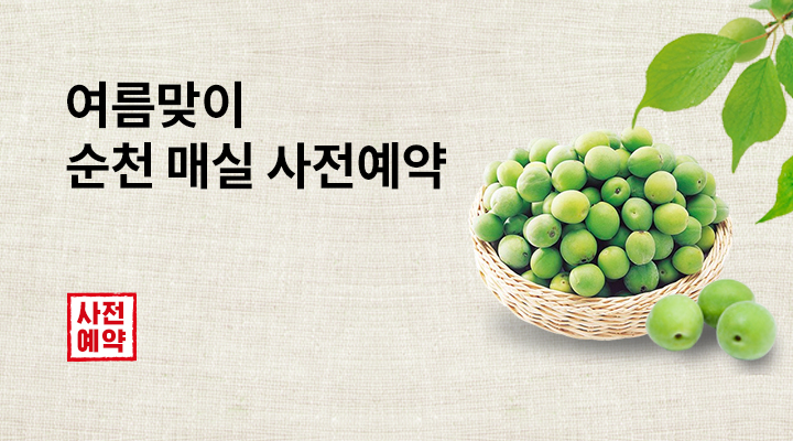 [사전]순천 매실