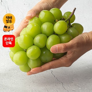 설명