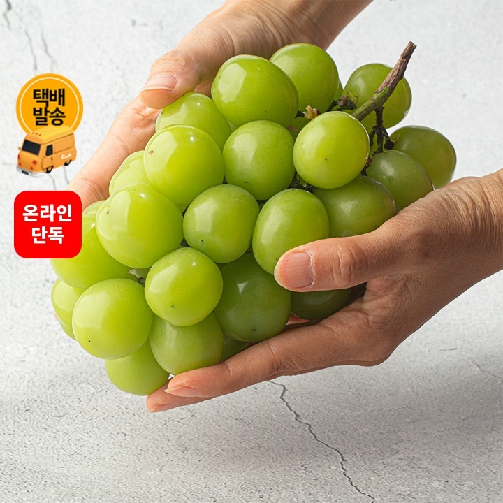 [택배]고당도 햇 샤인머스캣 2kg/4수