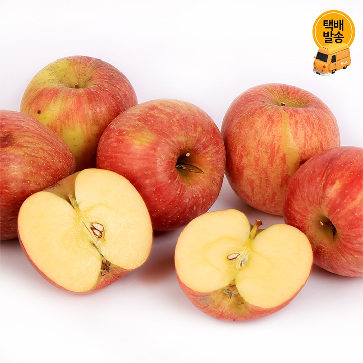 [택배]못난이 가정용 사과 5kg/중과