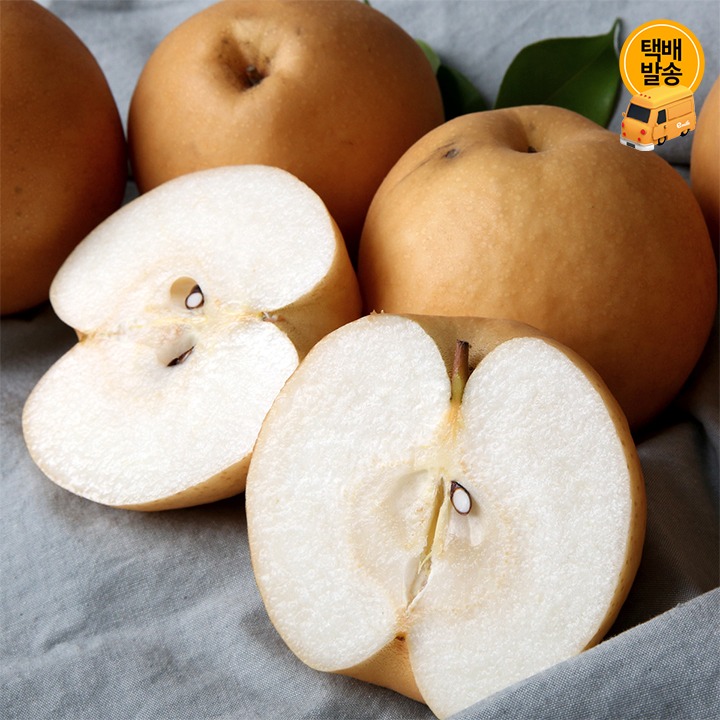 [택배]못난이 가정용 배 5kg/중과