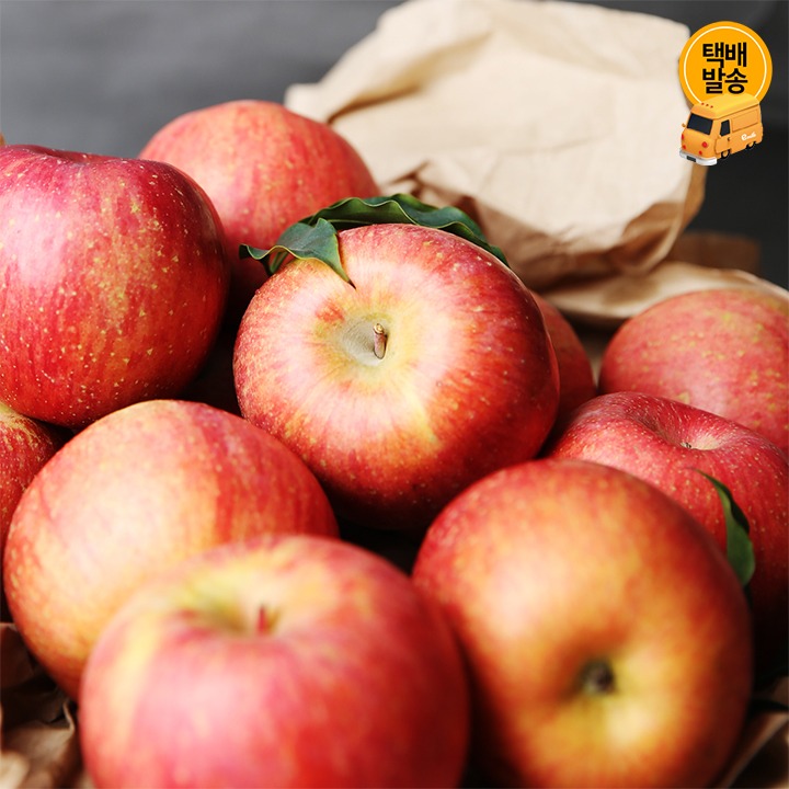 [택배]못난이 가정용 사과 10kg/중과