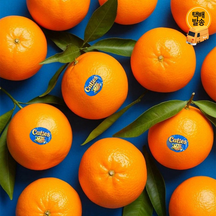 [택배]과즙팡팡 미국산 만다린 귤 5kg