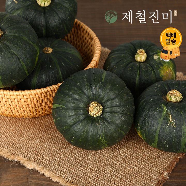 [택배]제주 미니밤단호박 특품 로열과 5kg