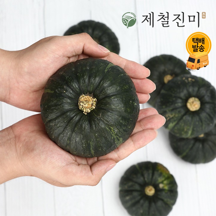 [택배]제주 미니밤단호박 특품 로열과 2kg