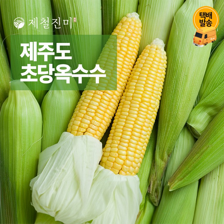 [택배]제주 햇 초당옥수수 10개입/특상품