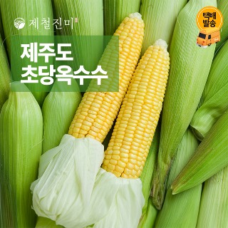 설명