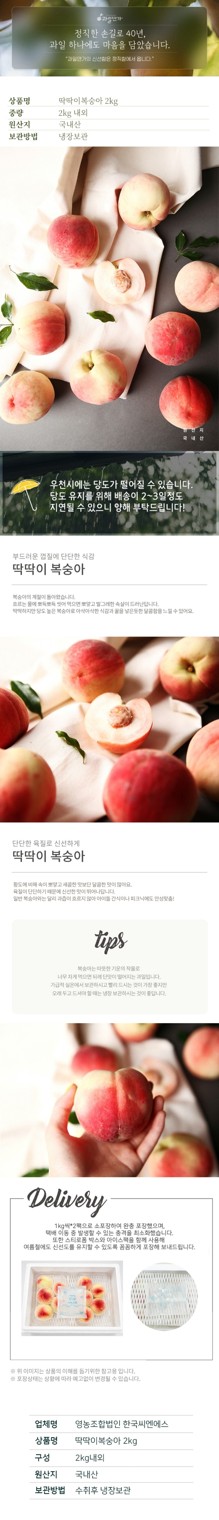 [택배]과일연가 딱딱이복숭아 2kg