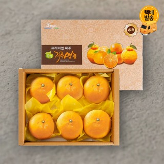 설명