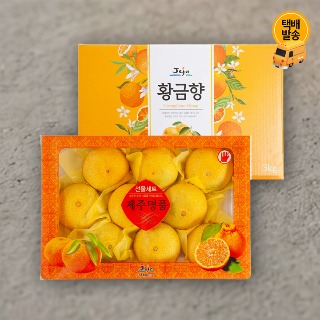 설명