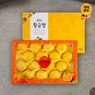 설명