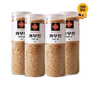 설명
