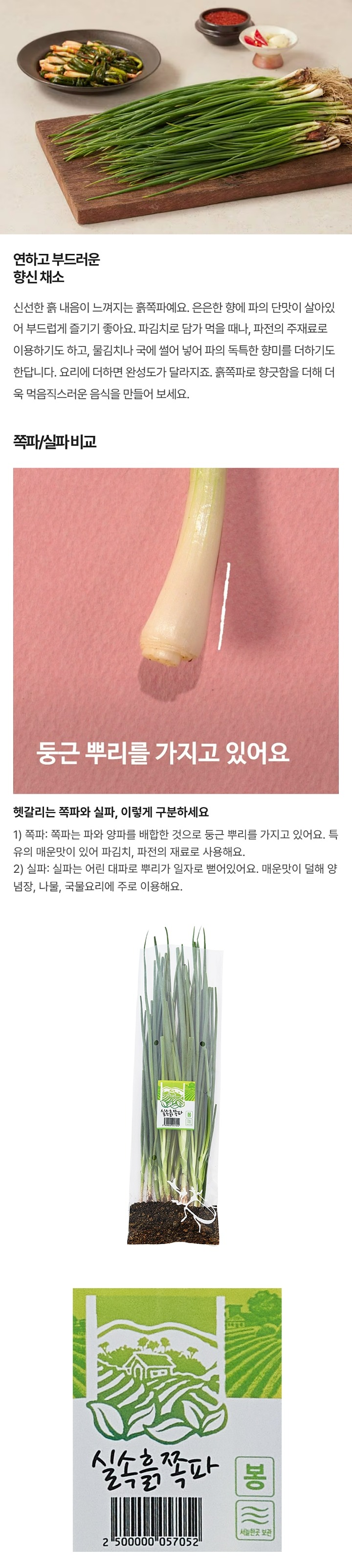 실속흙쪽파 봉 서늘한곳 보관