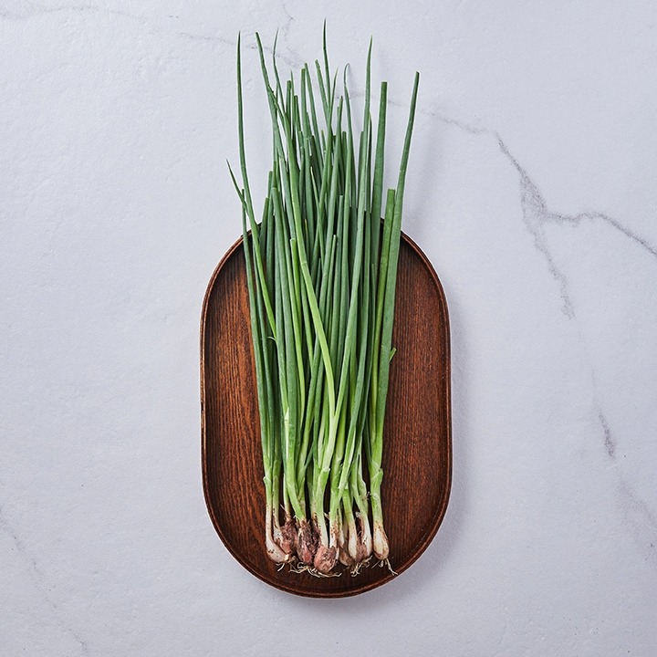 실속흙쪽파(봉)