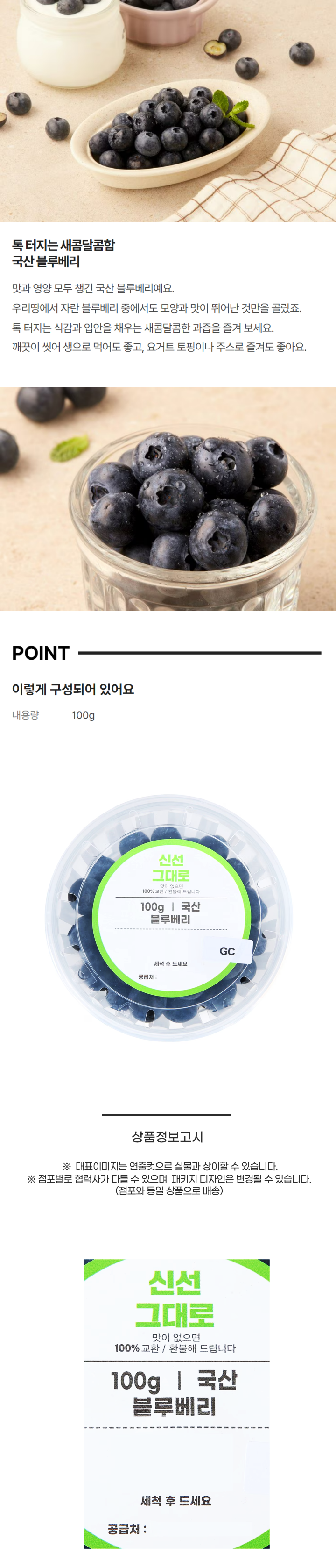 국산 생블루베리100g/팩