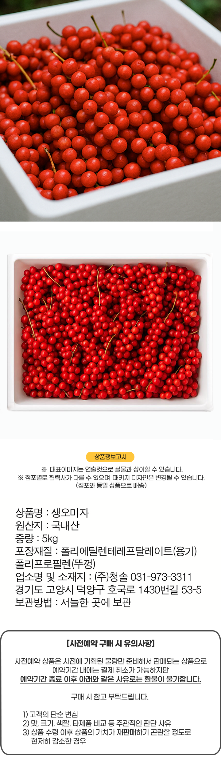 인제 생오미자(5kg)