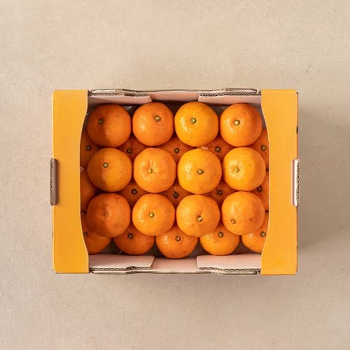 파머스픽 당도선별감귤2.7kg/박스