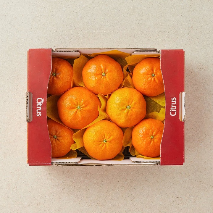 레드향1.5kg/박스