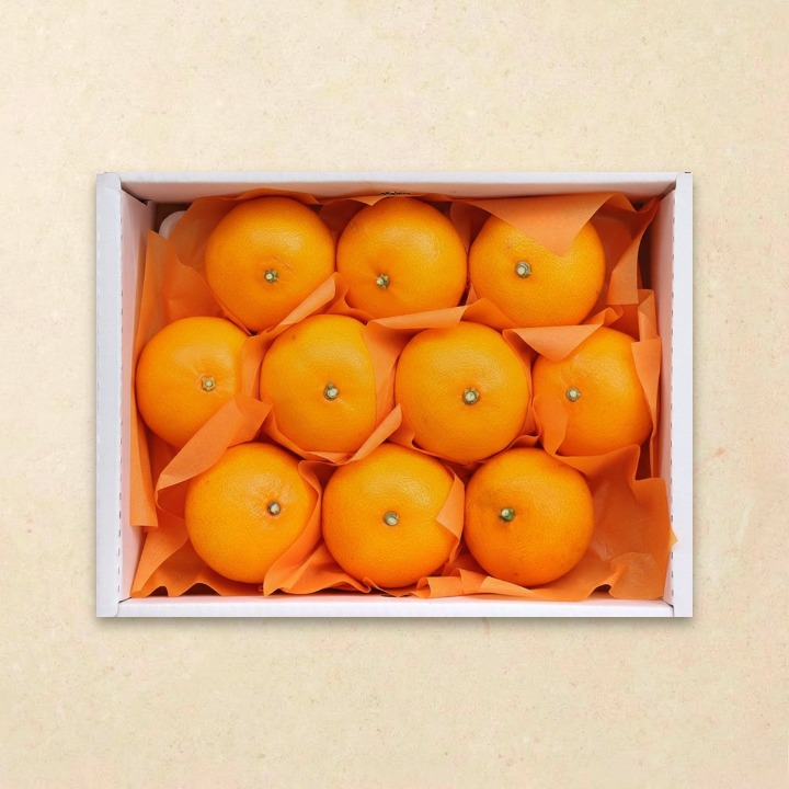 천혜향2.2kg/박스