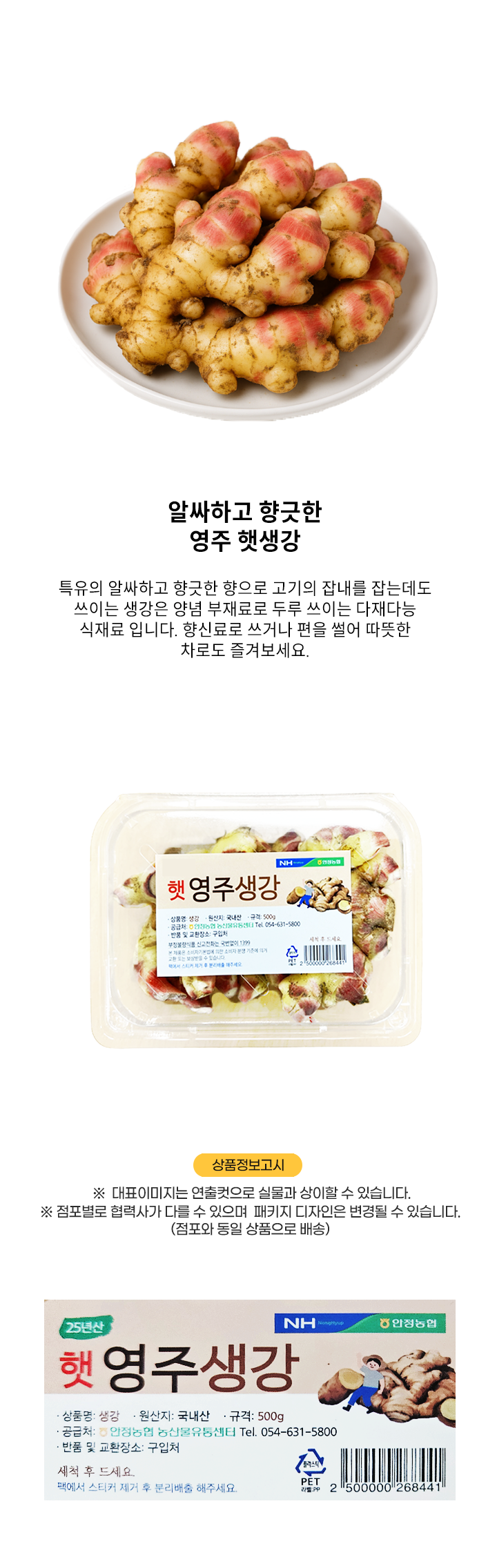 맛좋은 영주 햇 생강 국내산 500g 
