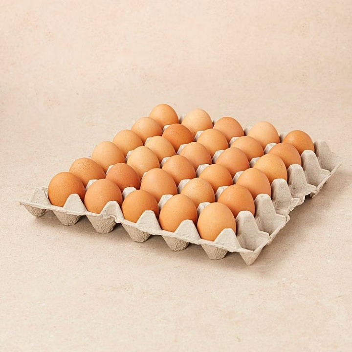 무항생제 알뜰대란(30)