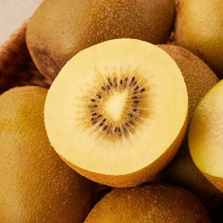 설명