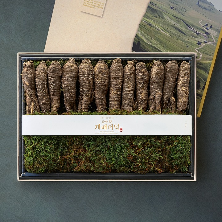 (S)심마니혼 재배이력 더덕세트