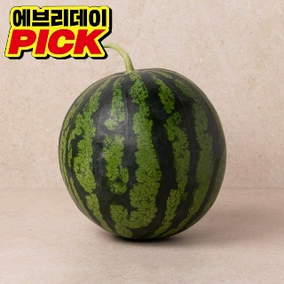 설명