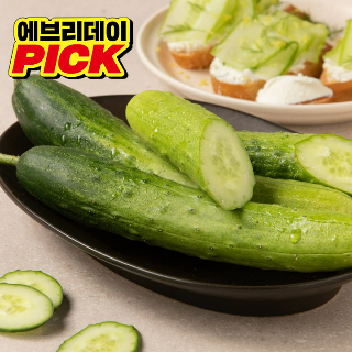 설명