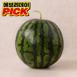 설명