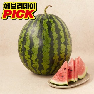 설명