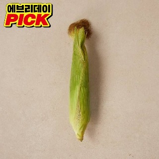 설명