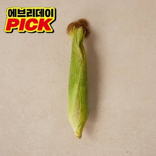 설명