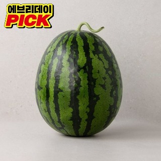 설명