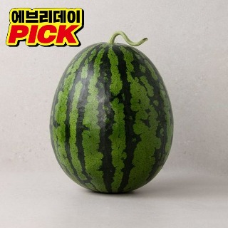 설명
