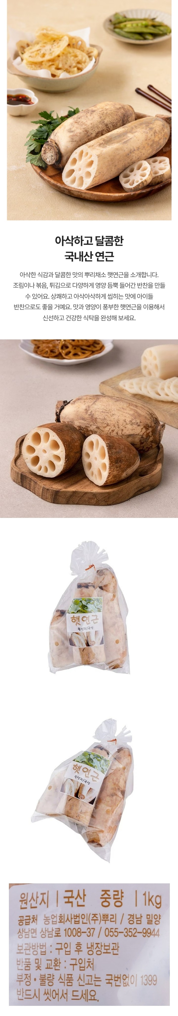 밀양 햇연근 1kg