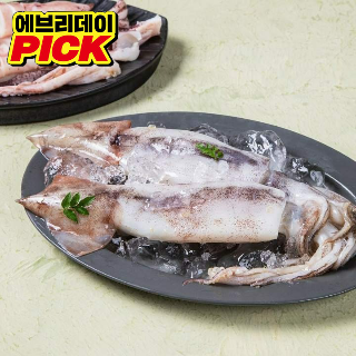 설명